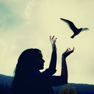 The Art Of Giving Up