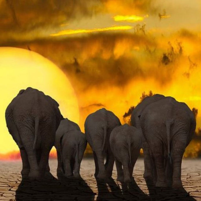 My Beautiful Earths Cry
