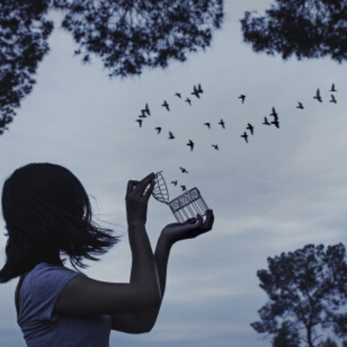 Like the birds