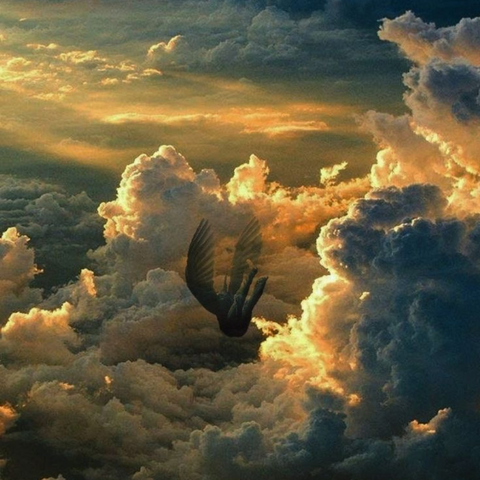 The Angel has Fallen