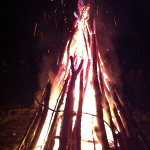 Bonfire of Life