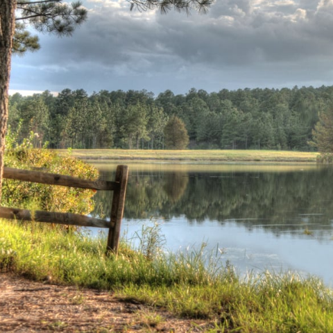 The View by the Lakeside