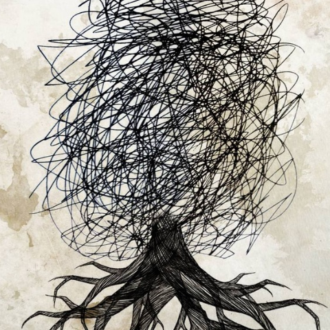 Rooted