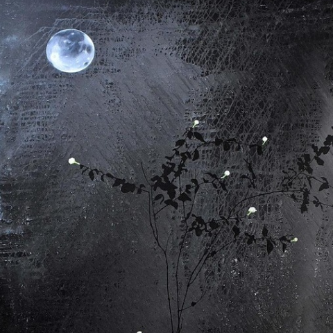 Fragrance in the night
