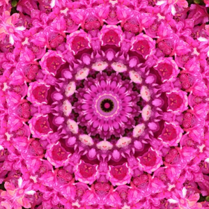 Fiction : A Kaleidoscope