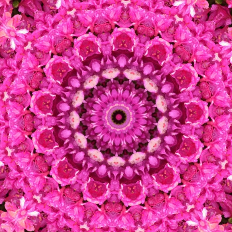 Fiction : A Kaleidoscope