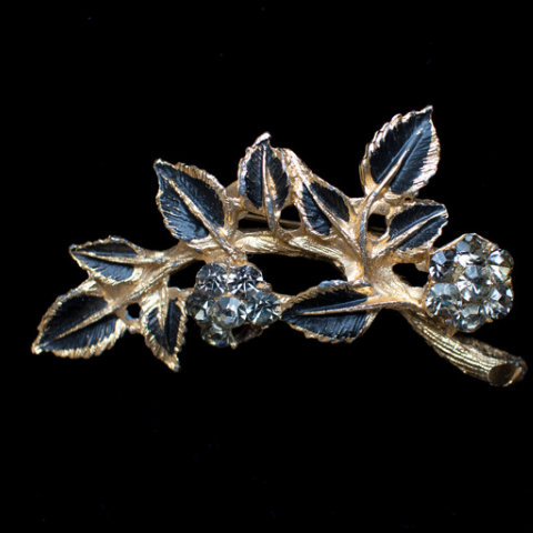 The Golden Brooch