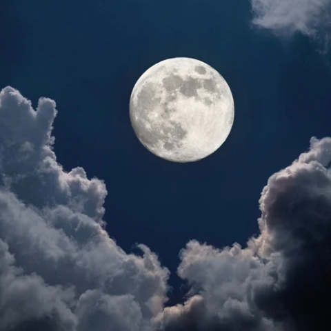 Celestial Beauty