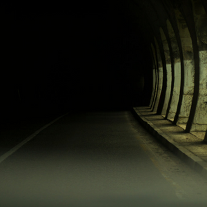 Into the Dark