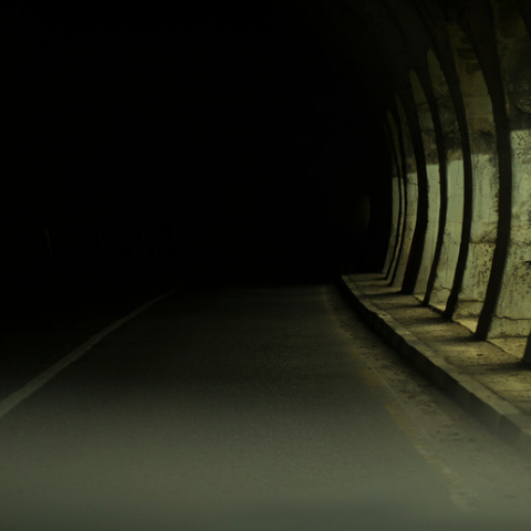 Into the Dark