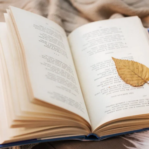 Poems are the carcass of love