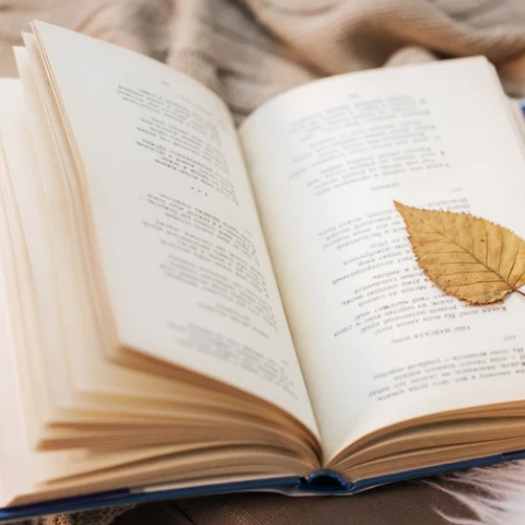 Poems are the carcass of love