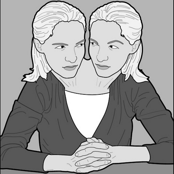 Two minds of mine