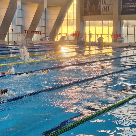 Swimming Lessons
