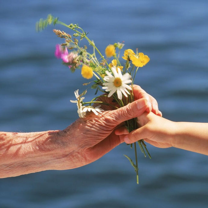 Kindness That I Hold