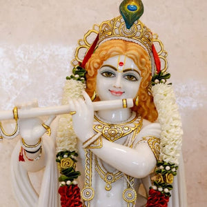 Ek Dost, Krishna