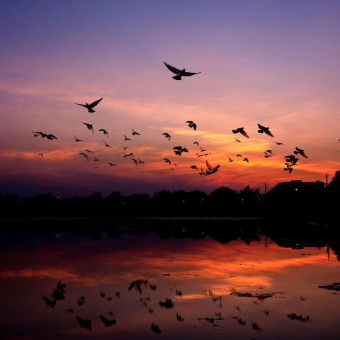 Dawn to dusk