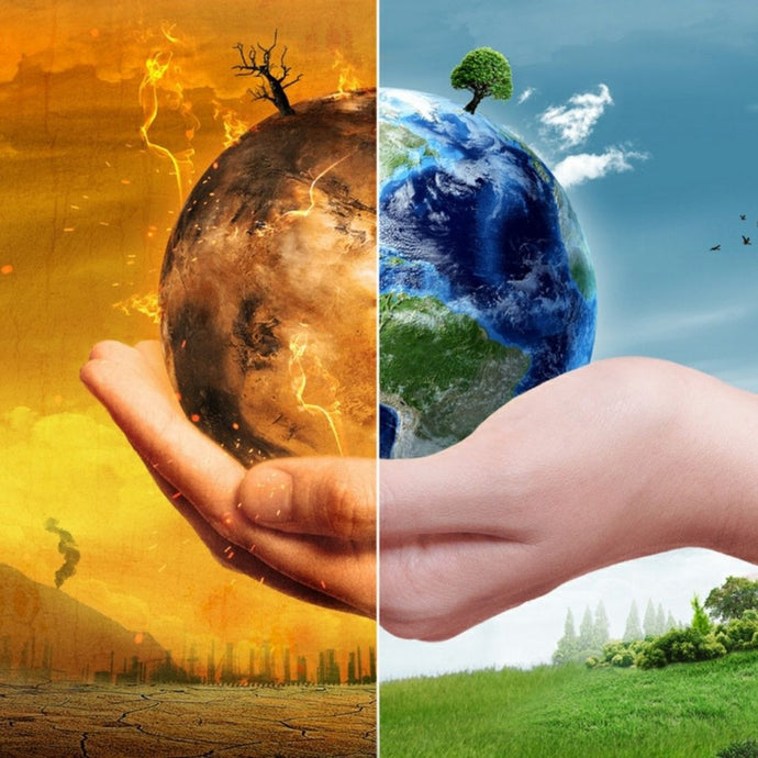 The Blame Of Degraded Earth