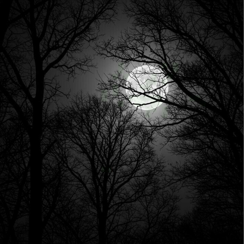 Darkness so Brutal