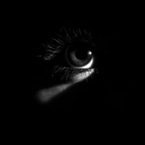 Through the Borrowed Eyes