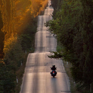The Way to Go