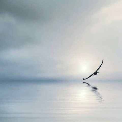 Wings of Spirit