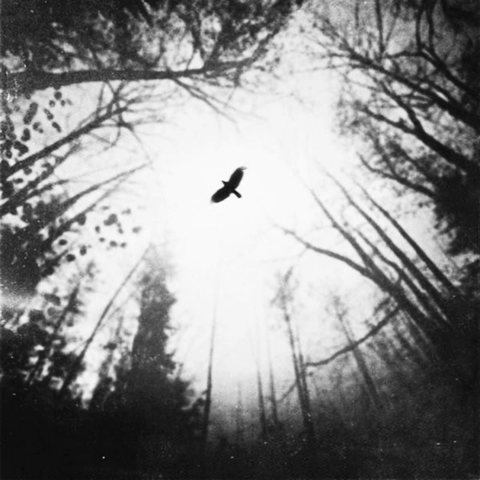 Silent Voices