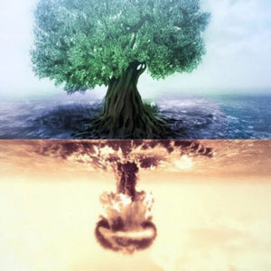 Why Peace Left