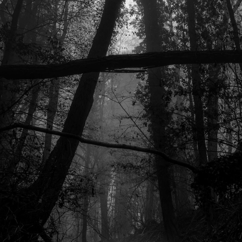 The World of Devil's