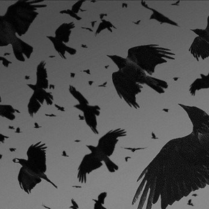 Unbreakable Wings