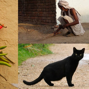 Superstition
