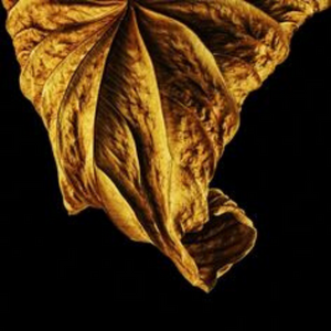 Golden