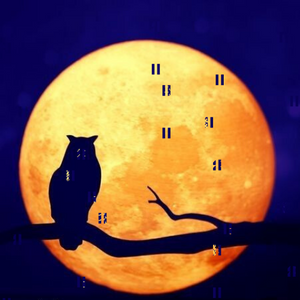 Infinitude