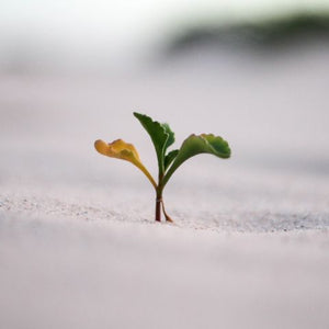 Growing up is showing up