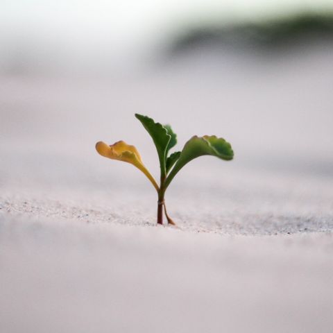 Growing up is showing up