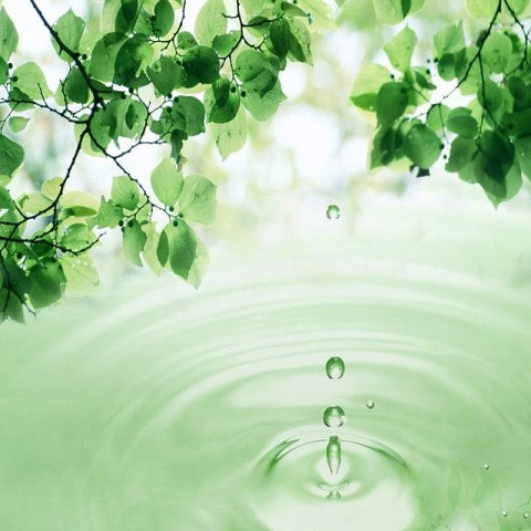 Post Rainfall