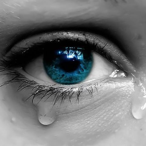 The Odyssey of a Tear