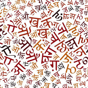 Hindi Bhasha