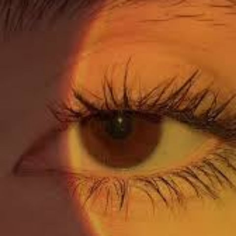 Eyes - The best friend
