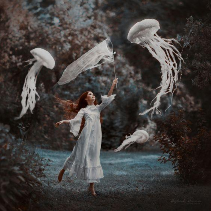 A Dreamer of dream
