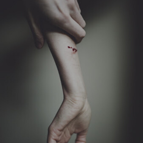 Let the fragments bring us home