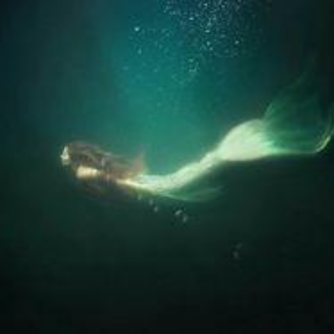 Melting Mermaid