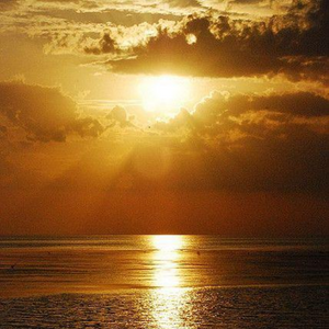 The Golden Sunset