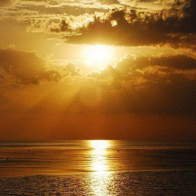 The Golden Sunset