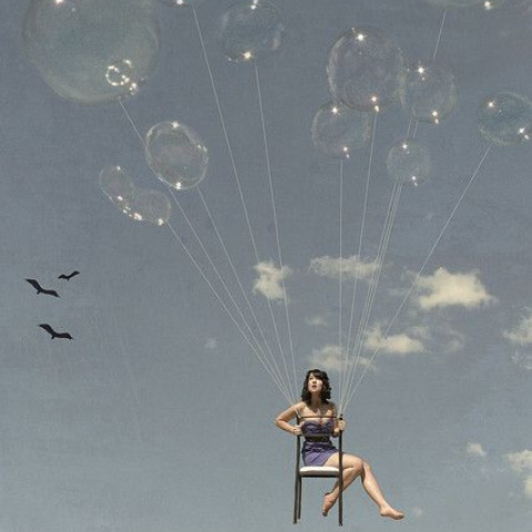 Free to fly