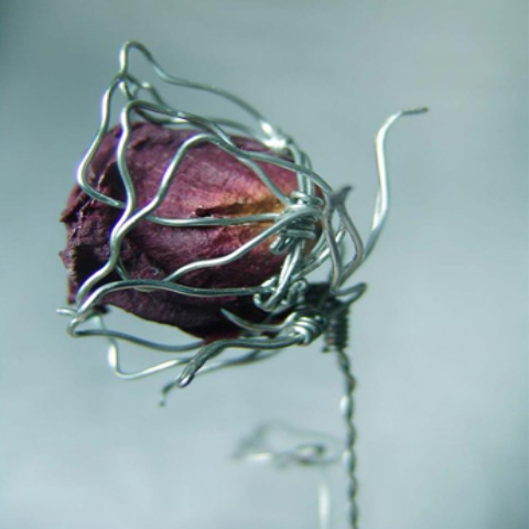 The Shackled Soul