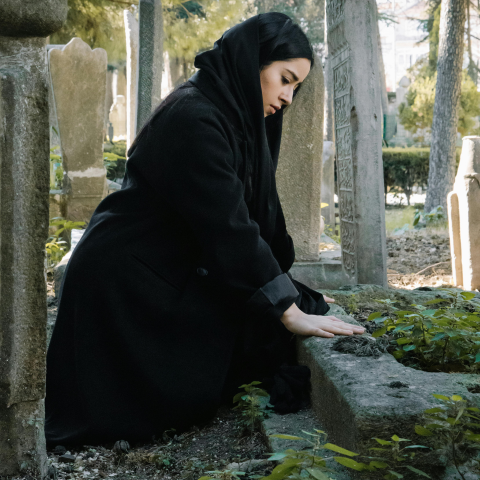 Strolling through the graveyard