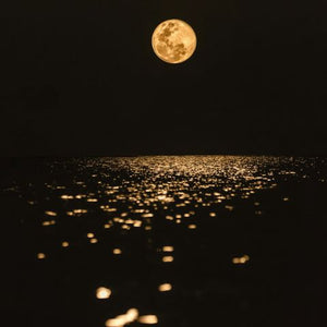 The moon