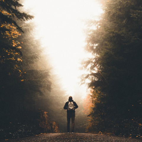 The path (Inspire to Aspire)