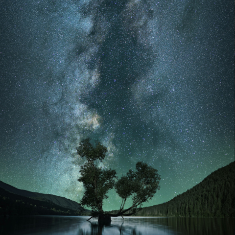 Starry Night